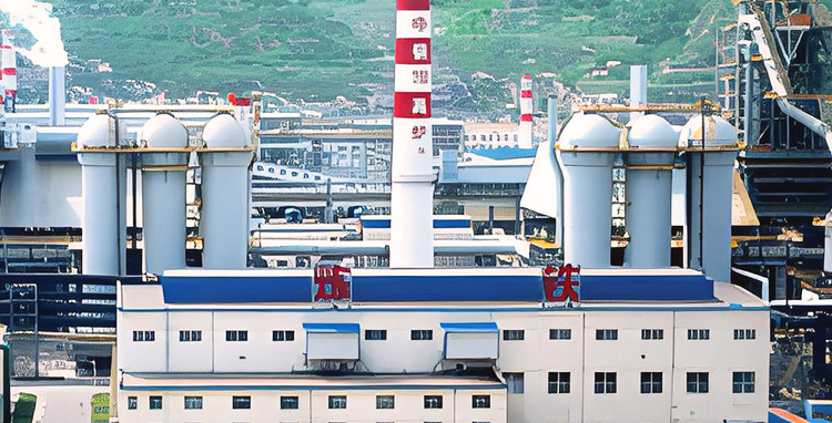 Qingdao Iron and Steel Co., Ltd.